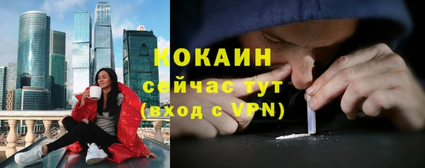 сатива Новокубанск