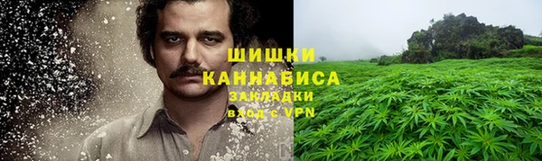 сатива Новокубанск