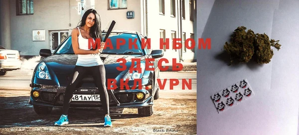 ALPHA PVP Новозыбков