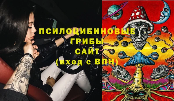 сатива Новокубанск